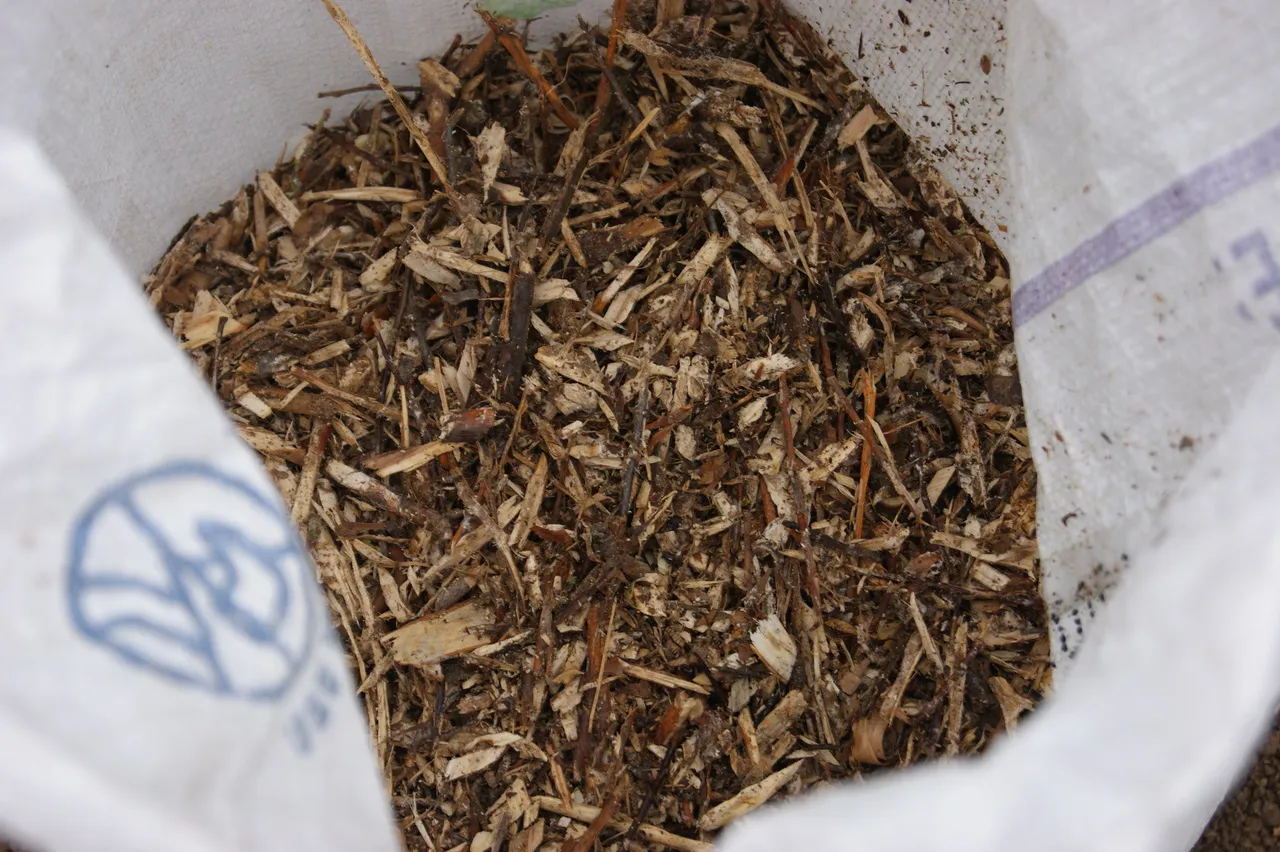 The Bottom Line for Home Gardeners (By SuSanA Secretariat, CC BY 2.0)