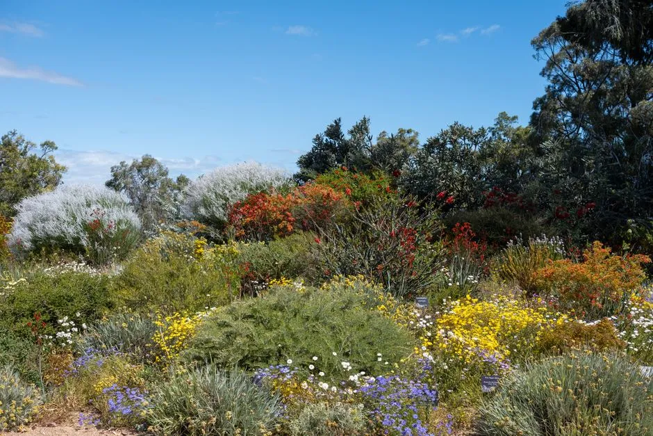 The Underestimated Power of Shrub Diversity (Image Credits: Pexels)