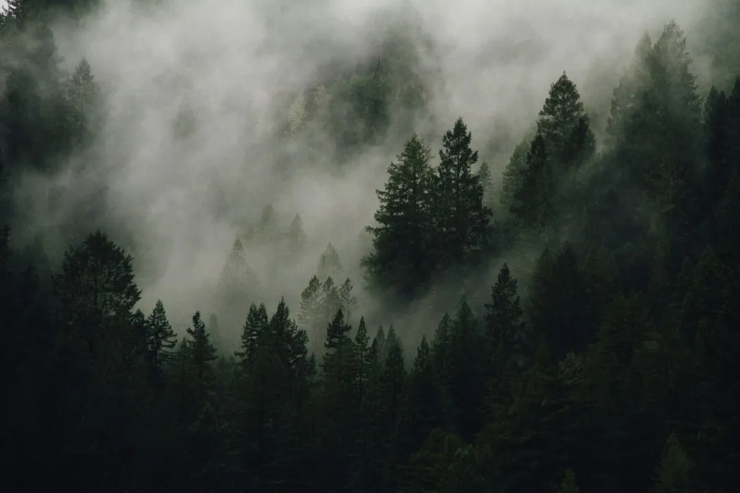 How to Prevent It Before Next Winter (Image Credits: Unsplash)