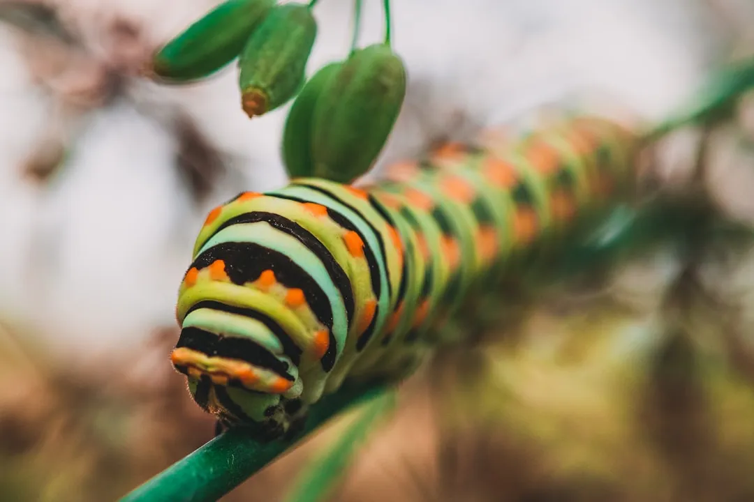 What This Tells Us About Evolution (Image Credits: Unsplash)