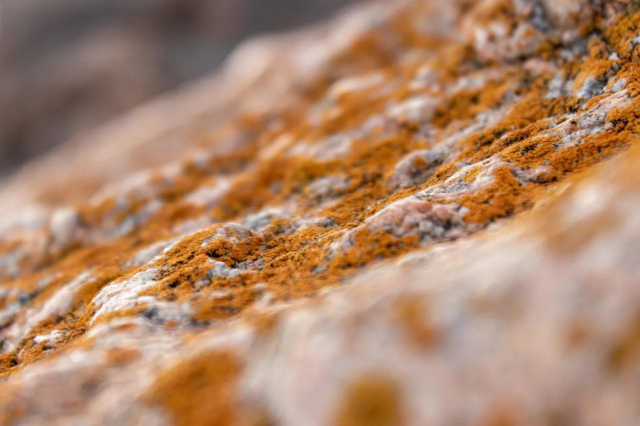 You Don't Need a Flood for Mold to Thrive (Image Credits: Pixabay)