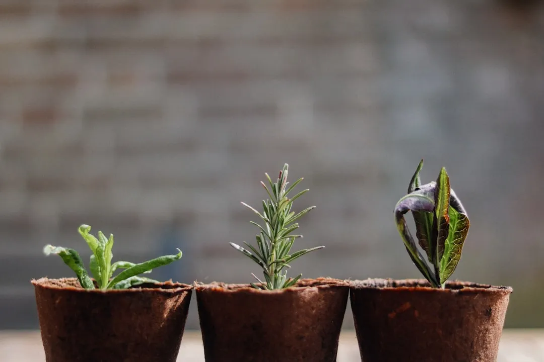 What Science Actually Says About Pot Size and Growth (Image Credits: Unsplash)
