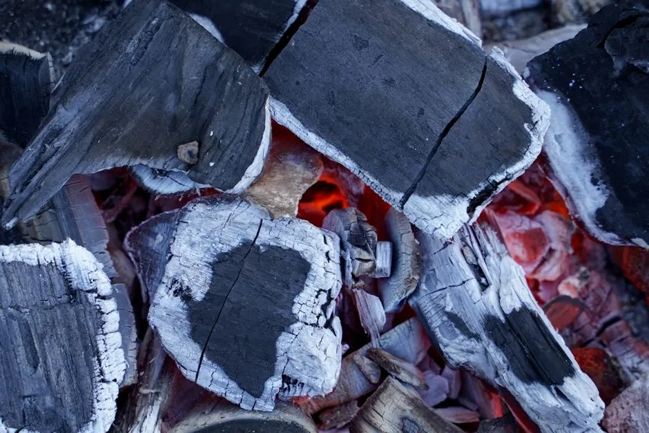 Preparing Your Charcoal Before It Goes in the Ground (Image Credits: Pexels)
