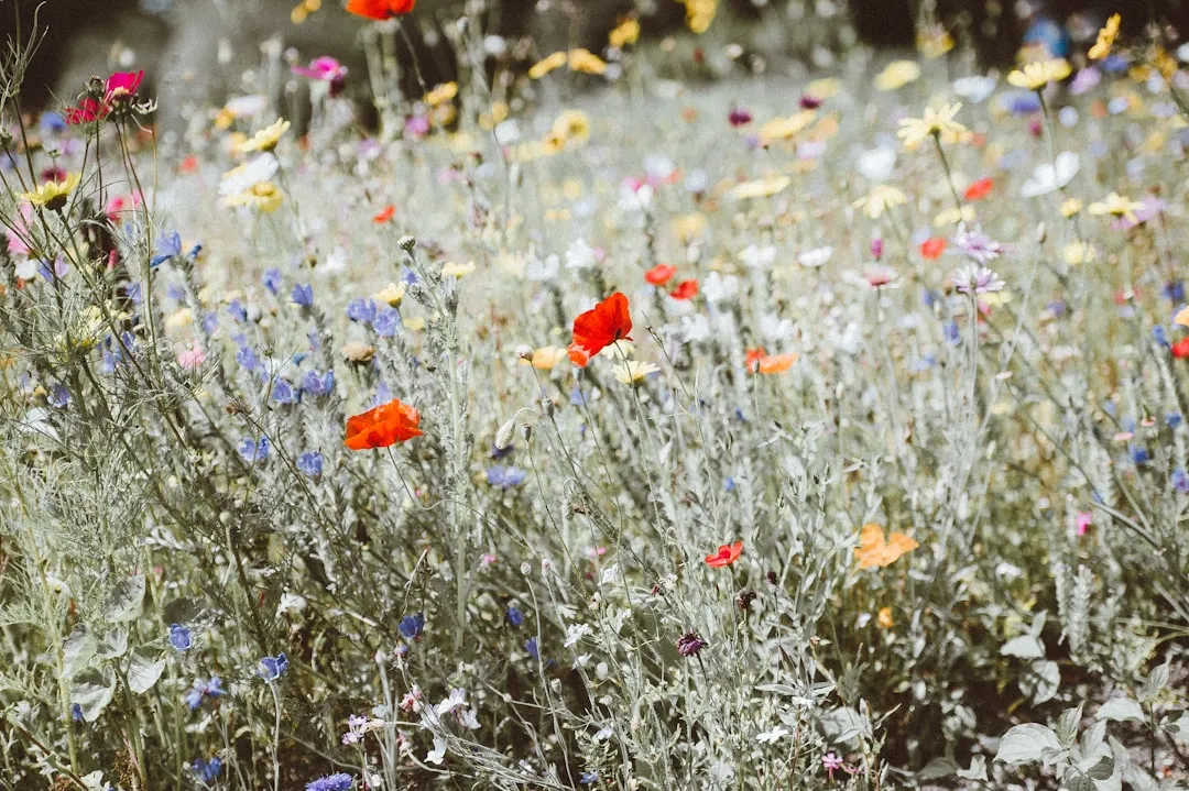 Soil and Sunlight: What They All Have in Common (Image Credits: Unsplash)