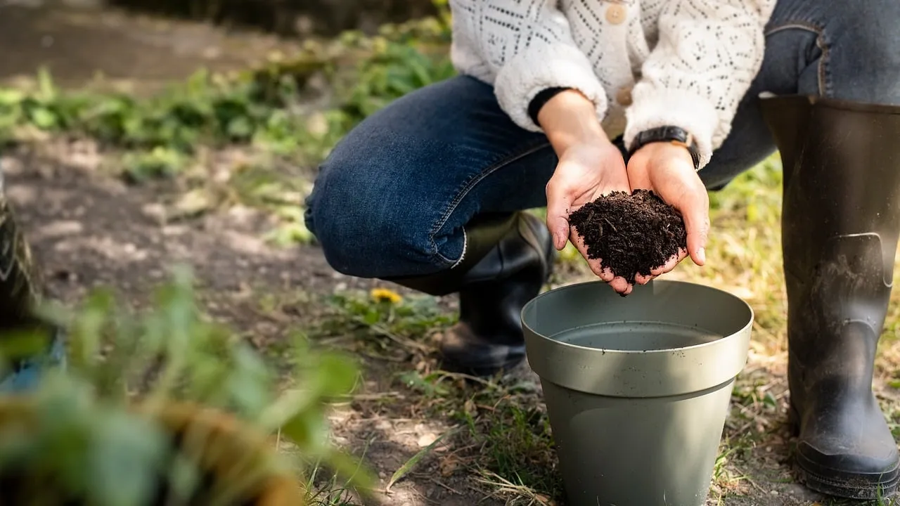 Compacted and Wrong Potting Mix: Drainage That Degrades Over Time (Image Credits: Pixabay)