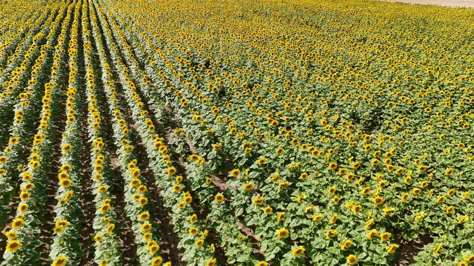 The Cost of Not Being Able to Track (Image Credits: Pexels)
