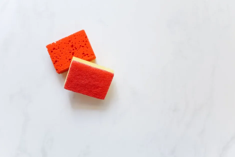 The Antibiotic-Resistant Threat Hiding in Plain Sight (Image Credits: Pexels)