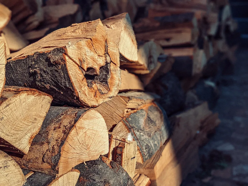 Smart Daily Habits That Actually Protect Your Home (Ivan Radic, Flickr, CC BY 2.0)