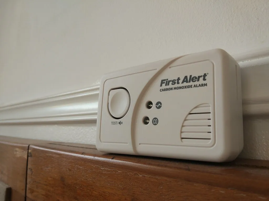 When to Call a Professional and What to Do in the Meantime (abegum, Flickr, CC BY 2.0)