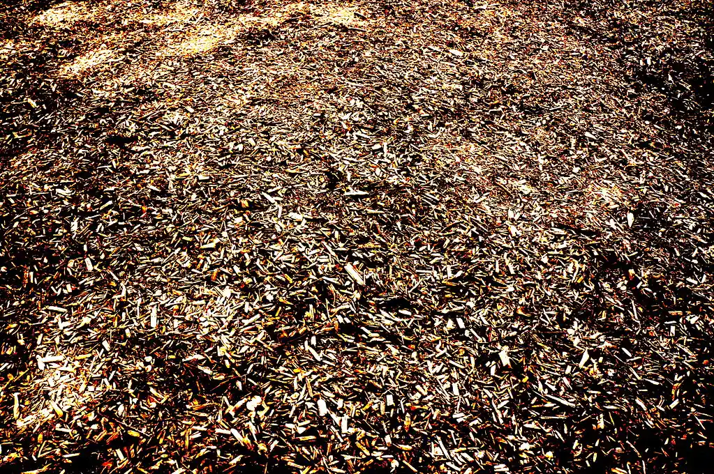 Prepare the Ground Before You Lay the Chips (nishant2200, Flickr, CC BY-SA 2.0)