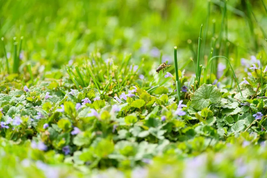 10. Creeping Mazus (Mazus reptans) (Image Credits: Pexels)