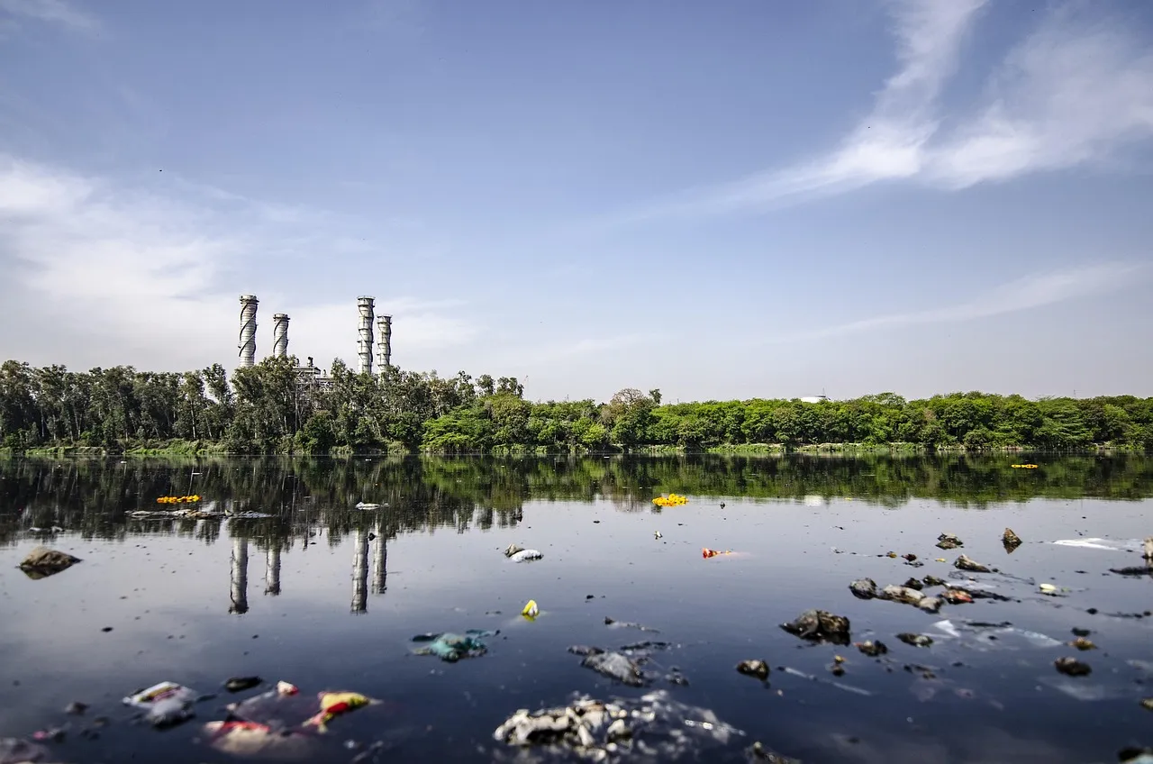 What Biosolids Actually Are (Image Credits: Pixabay)