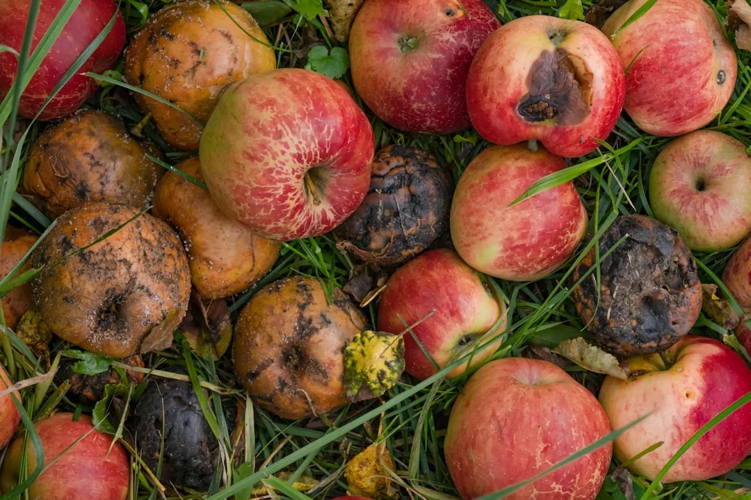 Prevention: The Habits That Actually Work (Image Credits: Unsplash)