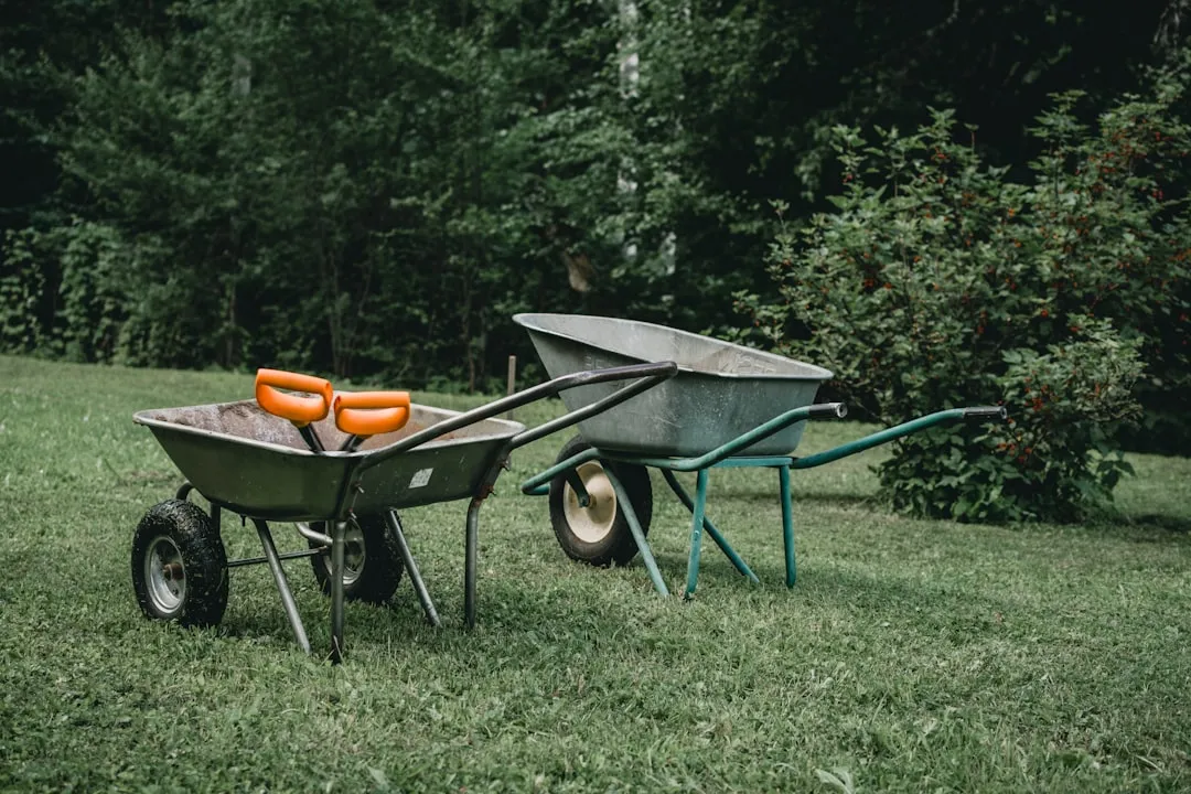 What People Are Doing with Them Once Restored (Image Credits: Unsplash)