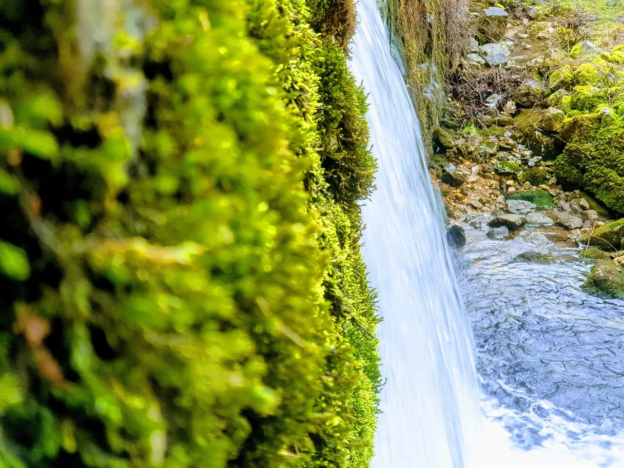 Provide Water, Especially During Dry Spells (Image Credits: Pixabay)