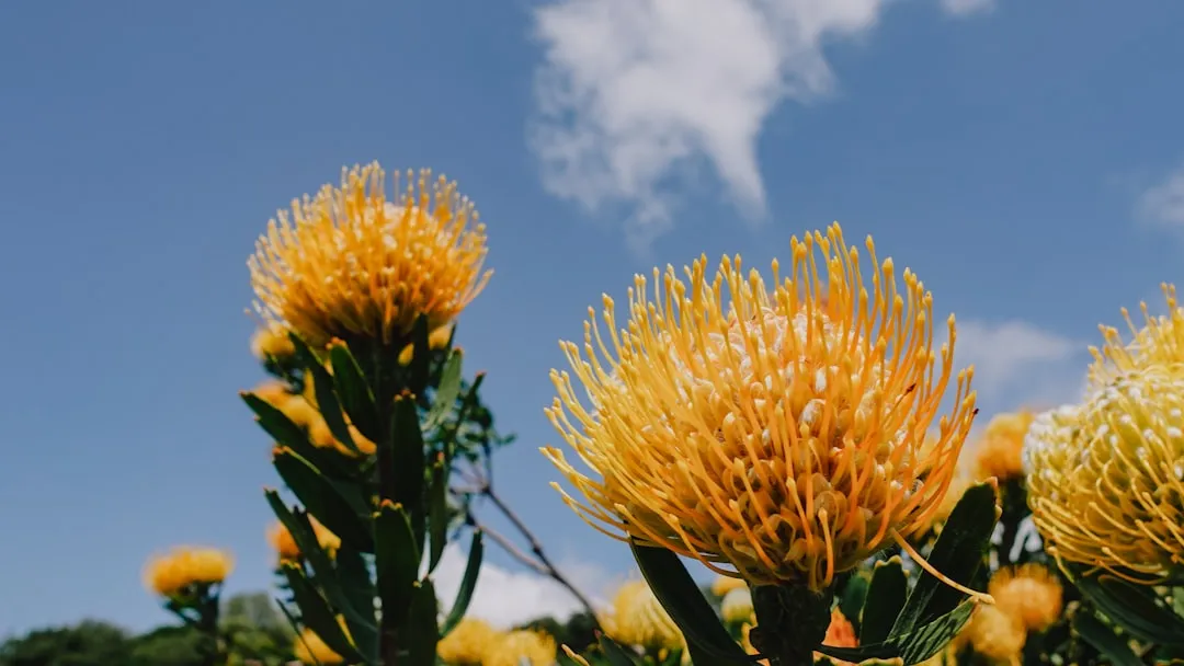 What the Research Actually Shows (Image Credits: Unsplash)