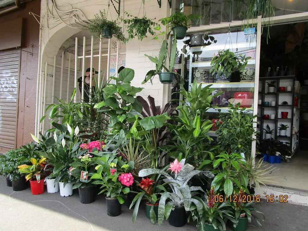 Choosing the Right Trellis for the Right Crop (RubyGoes, Flickr, CC BY 2.0)