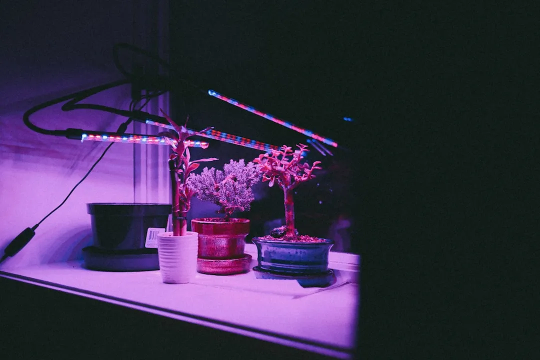 Light Recipes Matter More Than You Think (Image Credits: Unsplash)