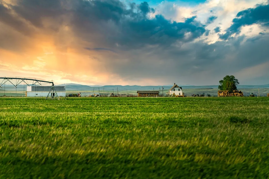 How Much Farmland Is Already Affected (Image Credits: Unsplash)
