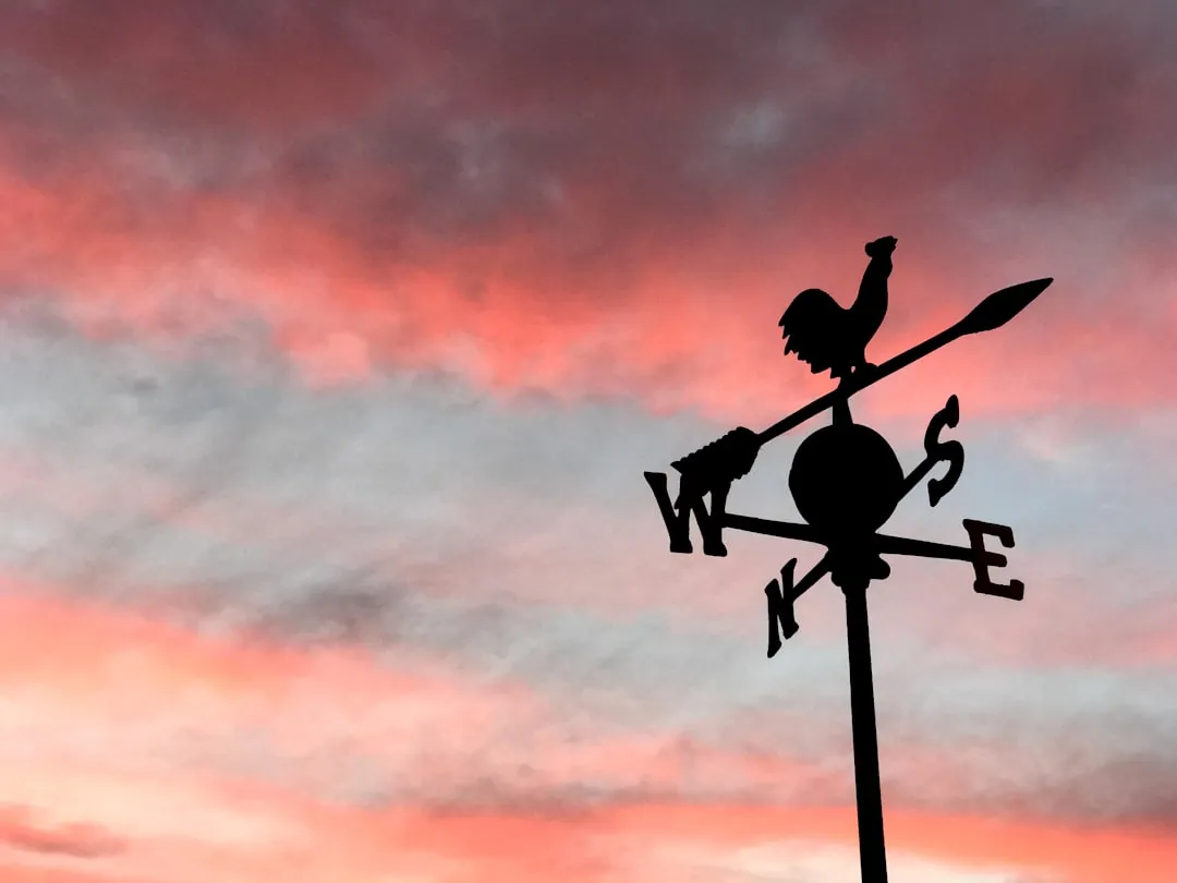 NOAA's Citizen Science Strategy: The Numbers Behind the Movement (Image Credits: Unsplash)