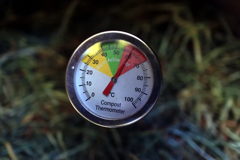 How to Time Fertilizer Applications Correctly Going Forward (Image Credits: Pexels)