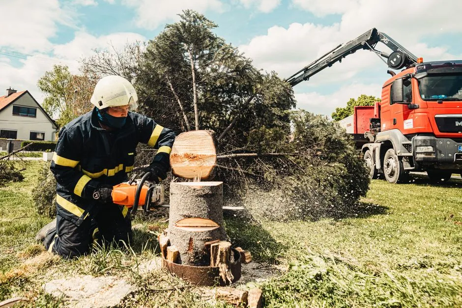 What Municipal Fines Look Like Across the Country (Image Credits: Pexels)