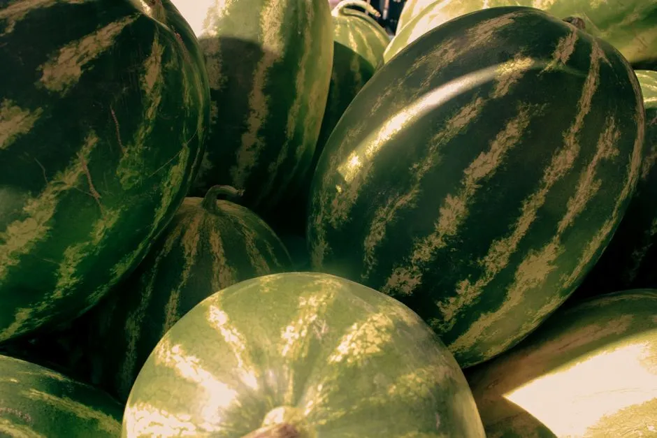 Getting It Right, One Melon at a Time (Image Credits: Pexels)