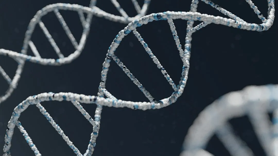 The Role of Genetics and Collagen (Image Credits: Unsplash)