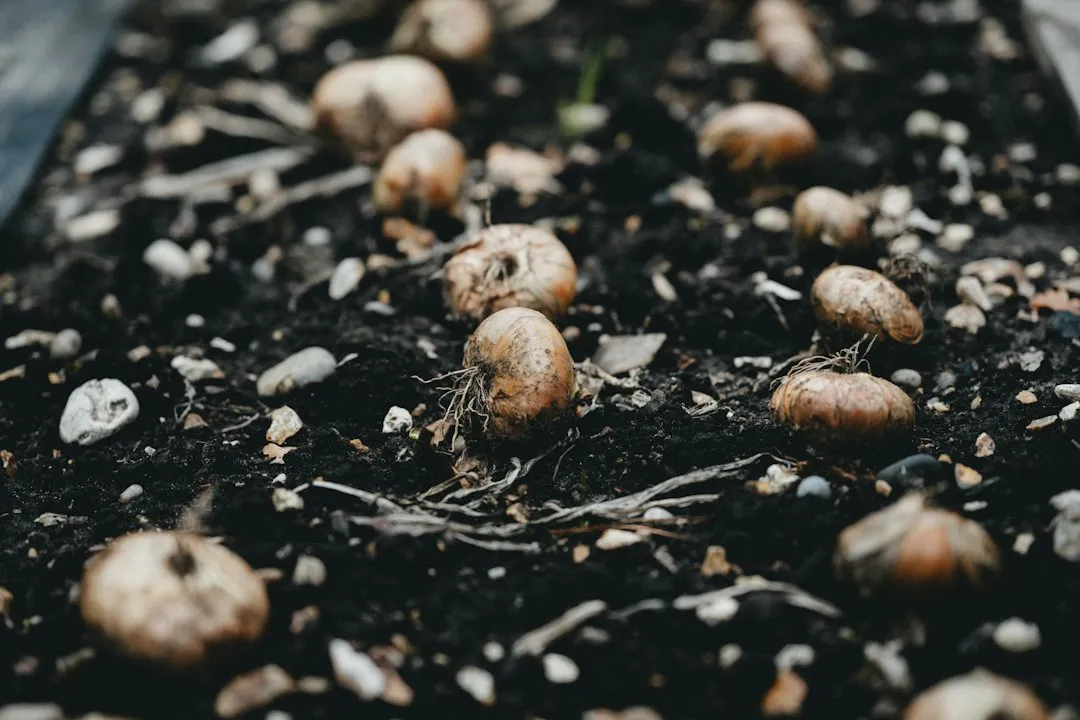 Overcrowding Without Dividing (Image Credits: Unsplash)