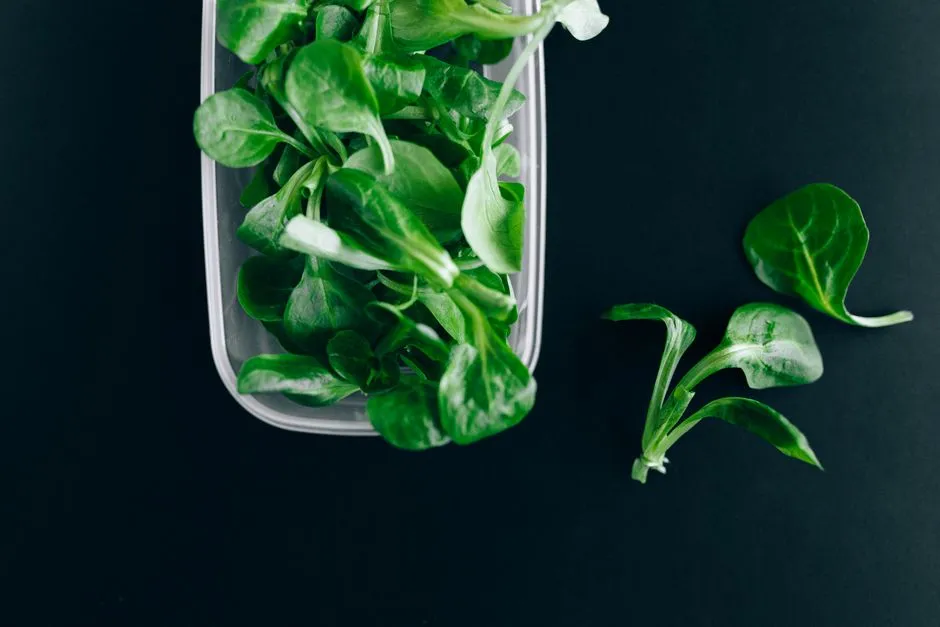 3. Lettuce: Cut-and-Come-Again Value (Image Credits: Pexels)