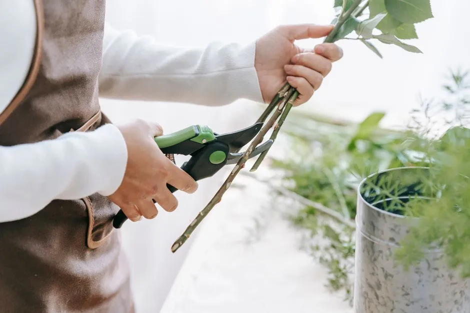 You're Drawn to Process, Not Just the End Result (Image Credits: Pexels)