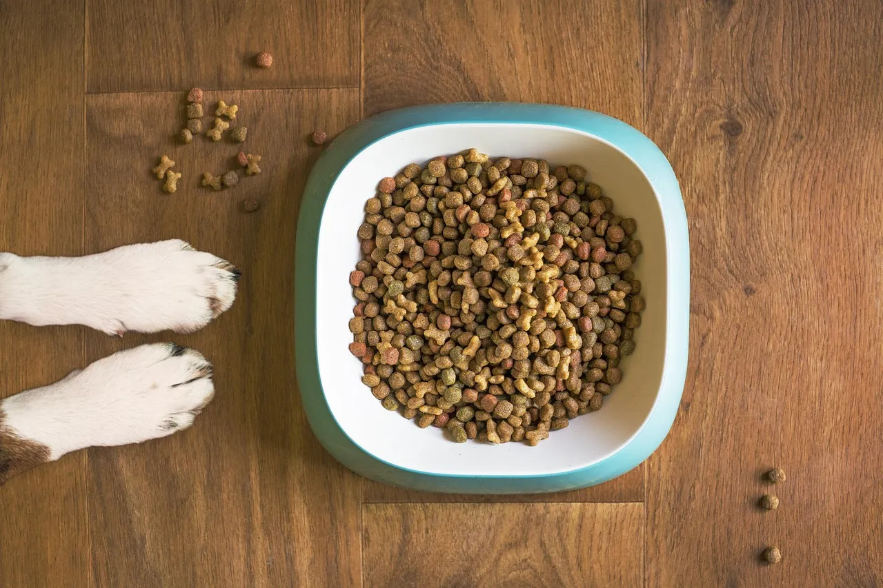 Bribing vs. Training: A Subtle but Significant Difference (Image Credits: Pixabay)
