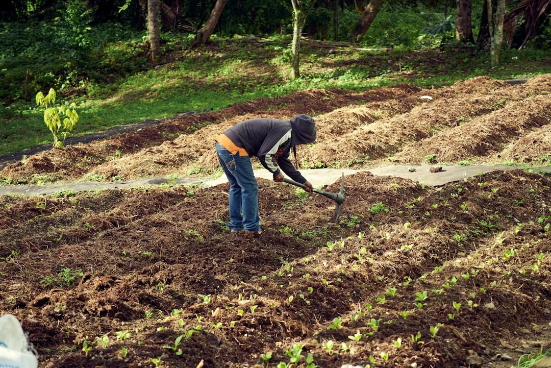Rule 6: Deep Bed Preparation Is Non-Negotiable (Image Credits: Unsplash)