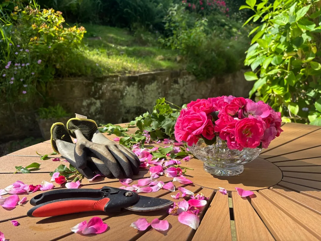 3. Pruning Rambling Roses in Winter (Image Credits: Unsplash)
