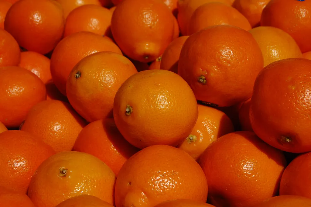 4. Citrus Fruits: Vitamin C Still Has a Role to Play (Bob5D, Flickr, CC BY 2.0)