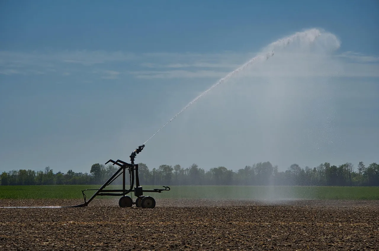 Gauge-Guided Watering Builds Stronger Root Systems (Image Credits: Pixabay)