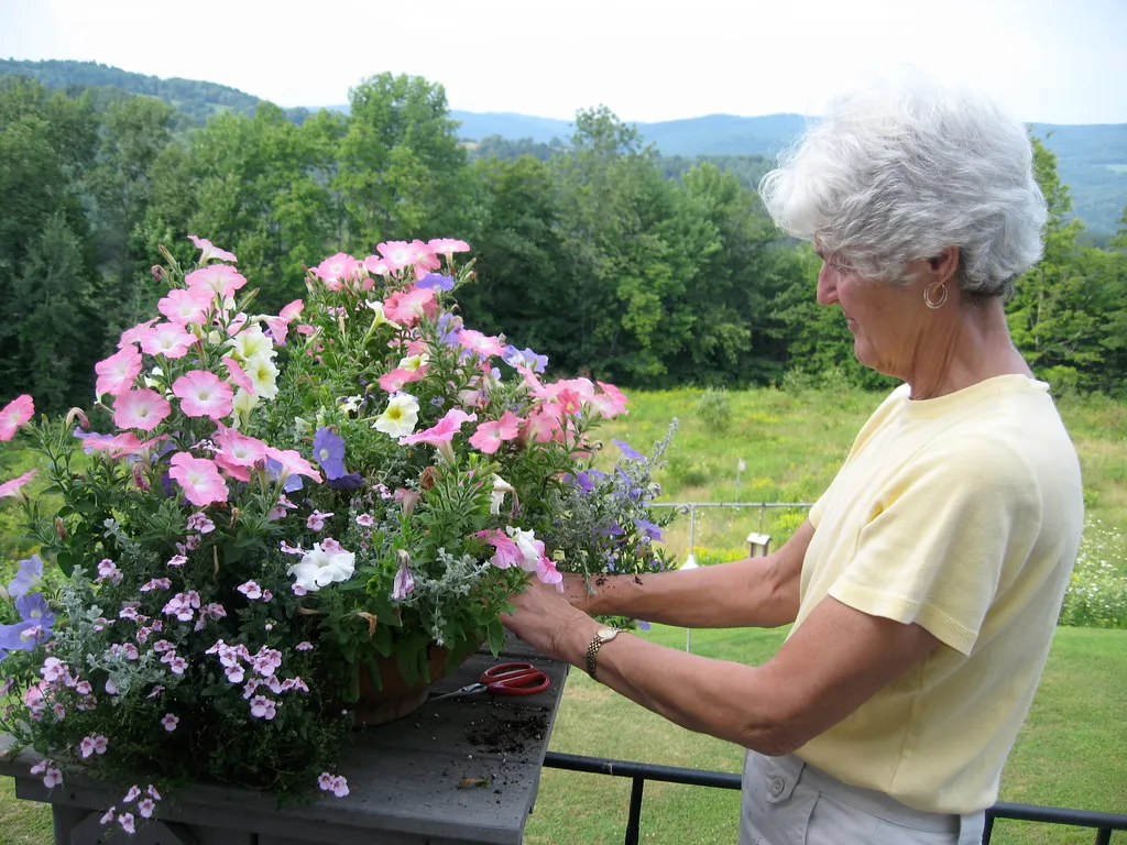 Deadheading Plants That Should Never Be Deadheaded (TheNickster, Flickr, CC BY-SA 2.0)