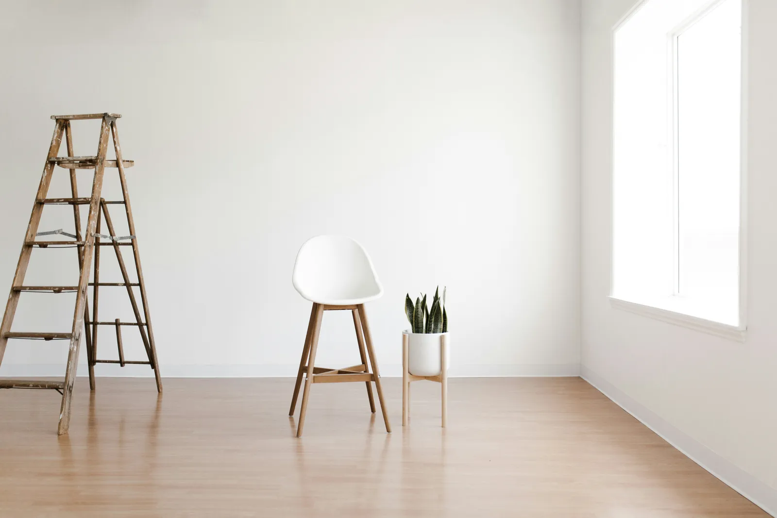 5. Obvious Signs That Nobody Is Home (Image Credits: Unsplash)