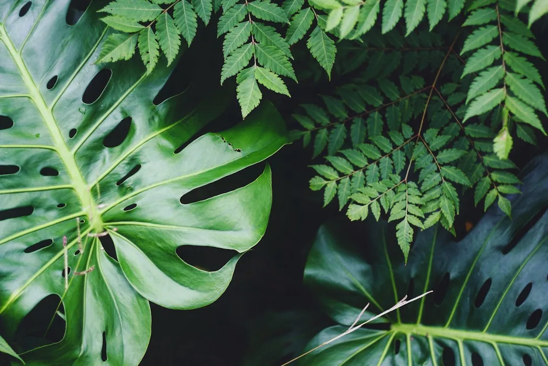 Most Undiscovered Species Are Already Under Threat (Image Credits: Unsplash)
