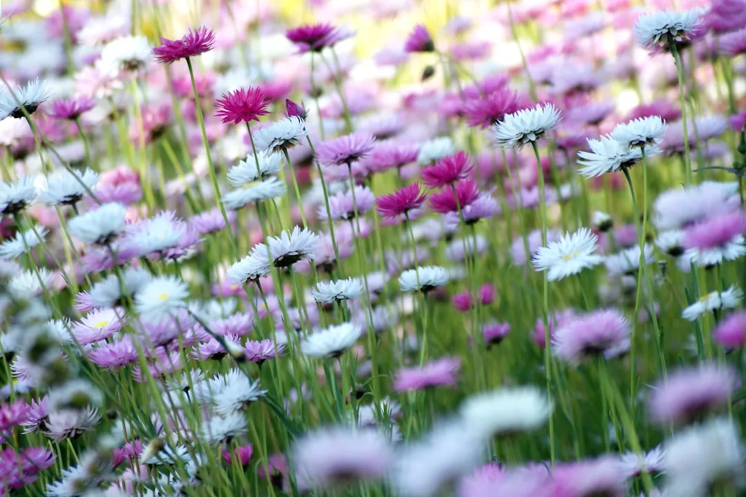 Selecting Native Plants for Your Region (Image Credits: Unsplash)