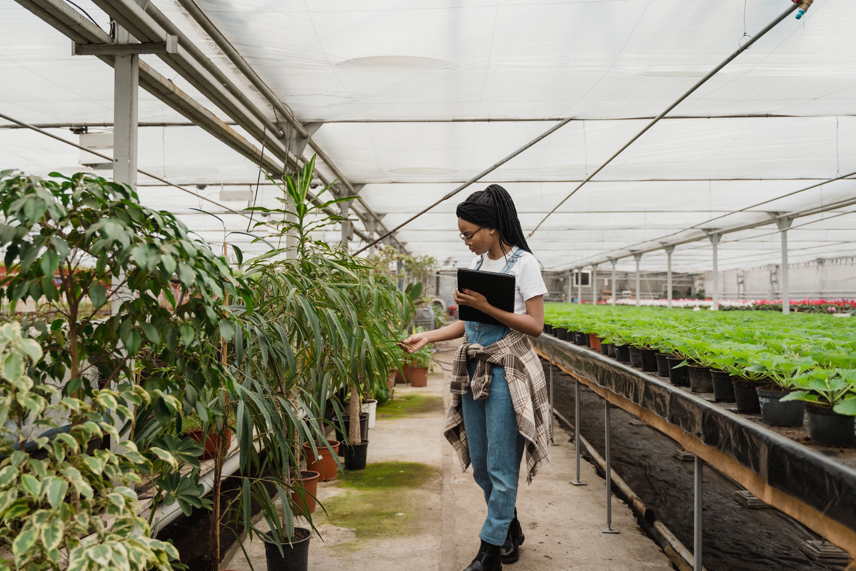 The 10-Minute Weekly Routine That Prevents Major Garden Diseases