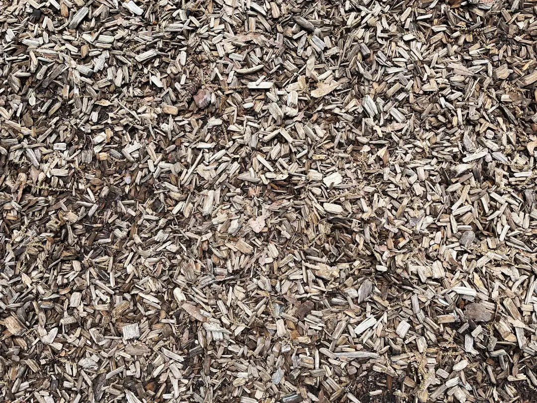 The Role of Mulch as a Zero-Cost Partner (Image Credits: Unsplash)