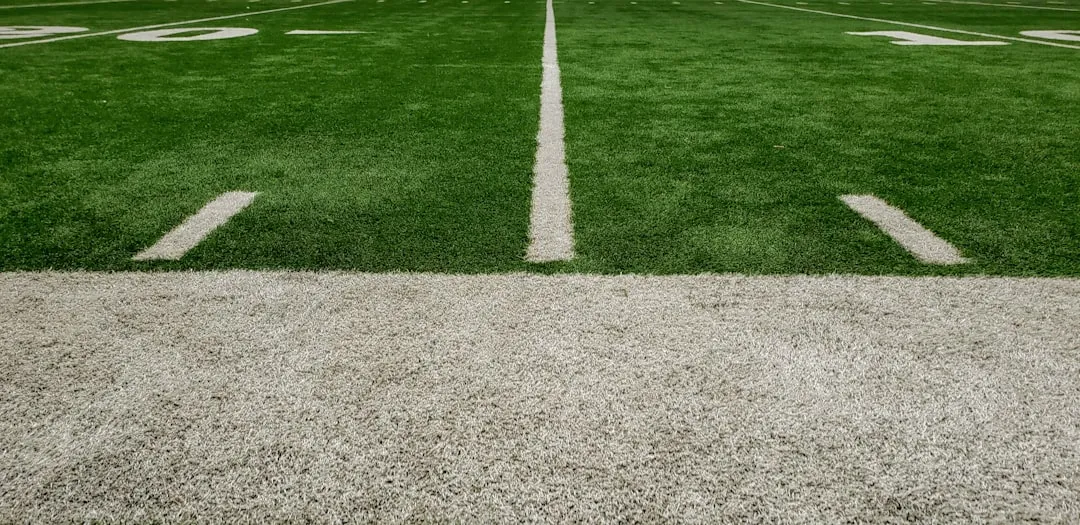 Turf Replacement and Urban Conservation Programs (Image Credits: Unsplash)