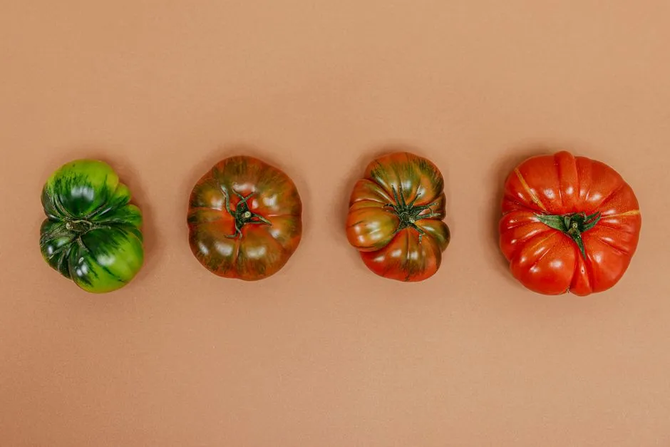 Why Ripe Tomatoes Are the Most Vulnerable (Image Credits: Pexels)