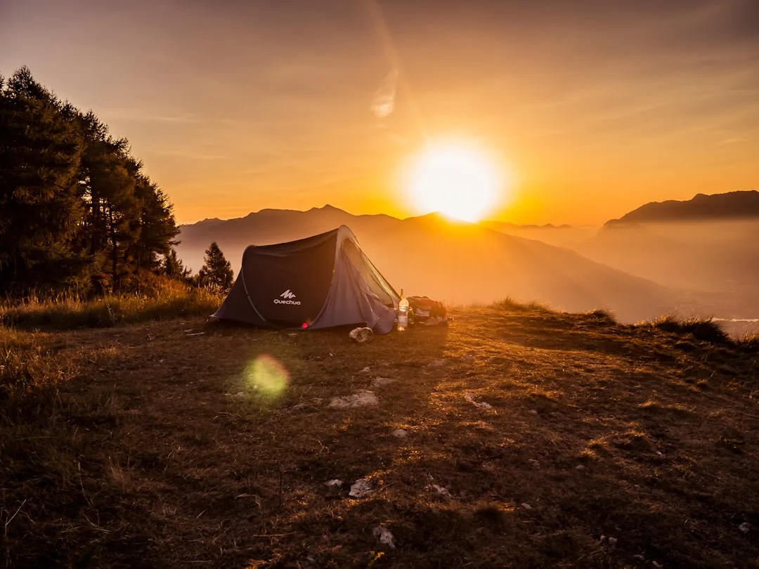 Myth #9: Food Storage Is Only Necessary for Overnight Camping (Image Credits: Unsplash)