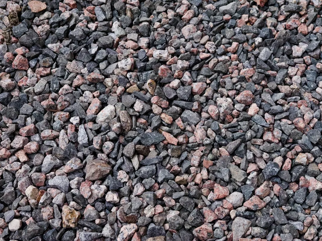 The Gravel Myth: Why Rocks at the Bottom Make Things Worse (Image Credits: Unsplash)