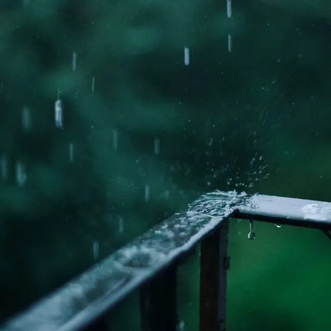 What Petrichor Actually Is (Image Credits: Pexels)