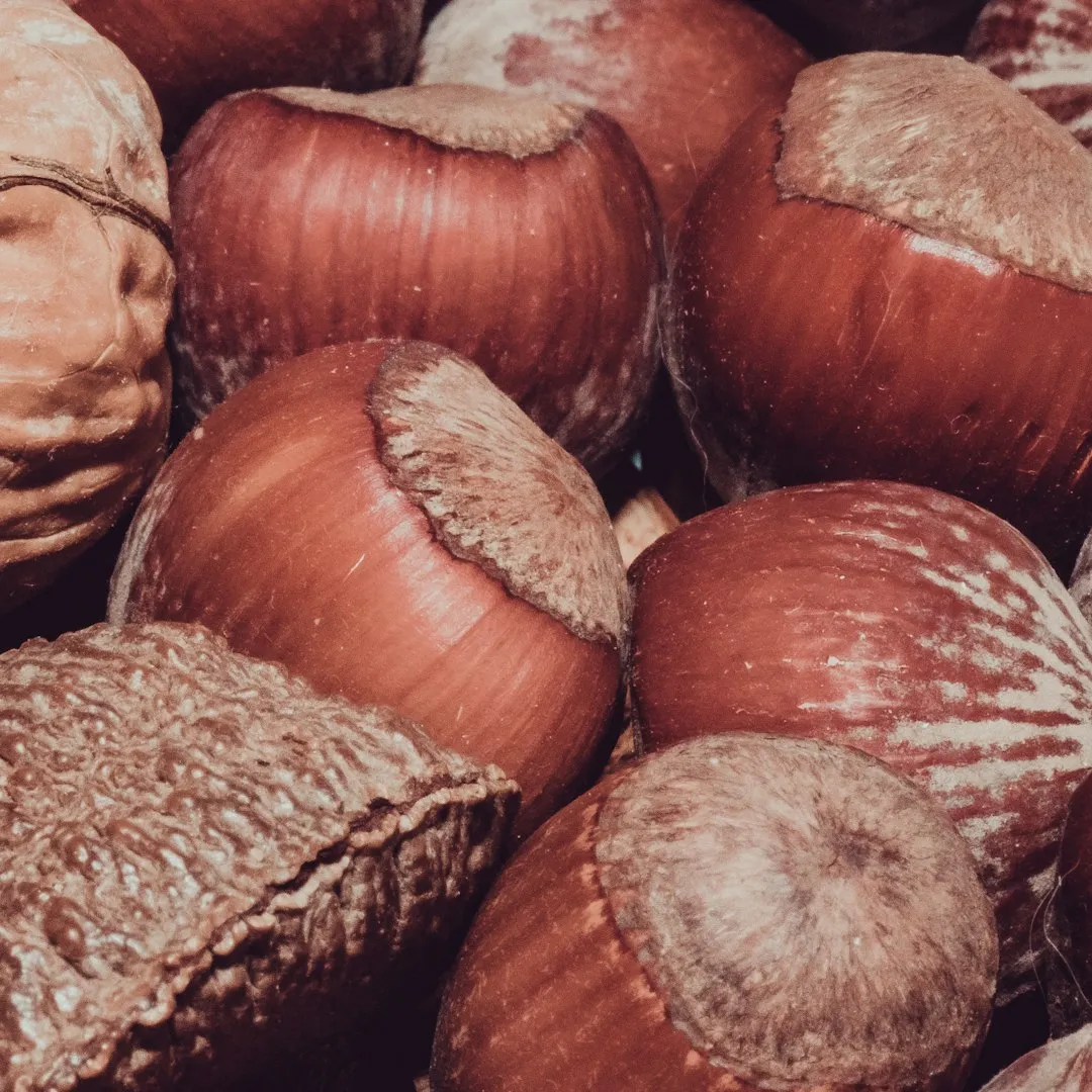 1. Brazil Nuts: A Single-Food Selenium Powerhouse (Image Credits: Unsplash)
