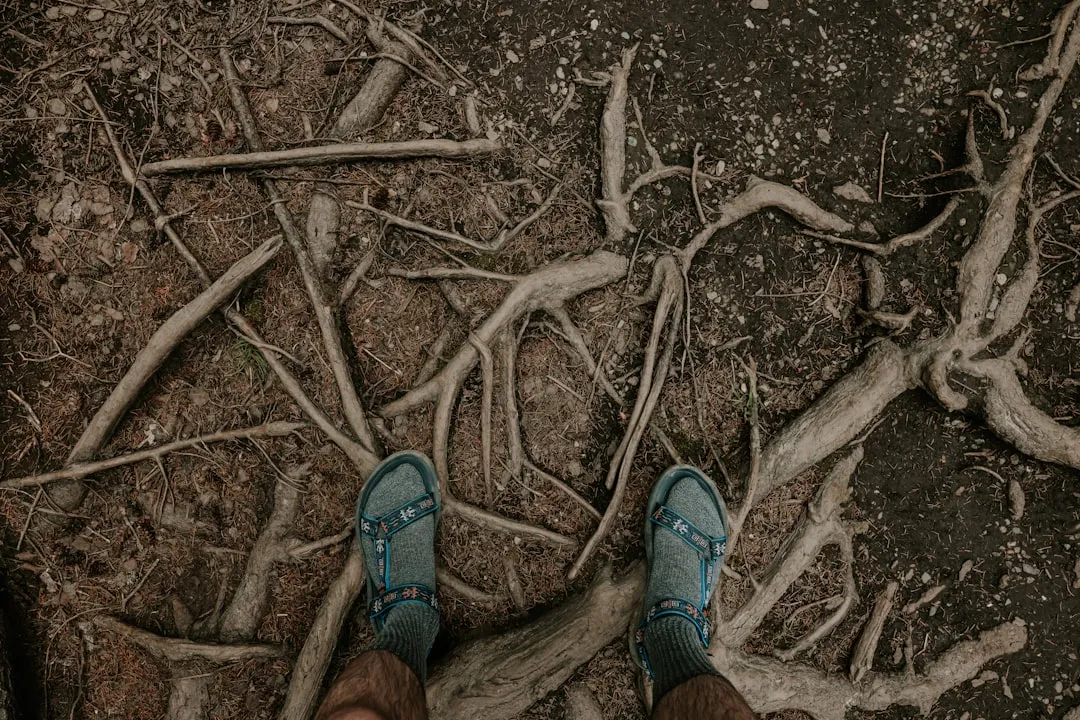 Why Deep Moisture Matters More Than Surface Soil (Image Credits: Unsplash)