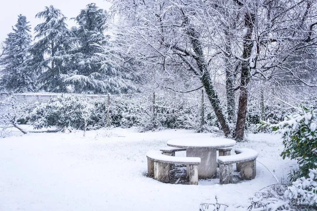 Timing and Soil: The Foundation of a Successful Winter Garden (Image Credits: Unsplash)